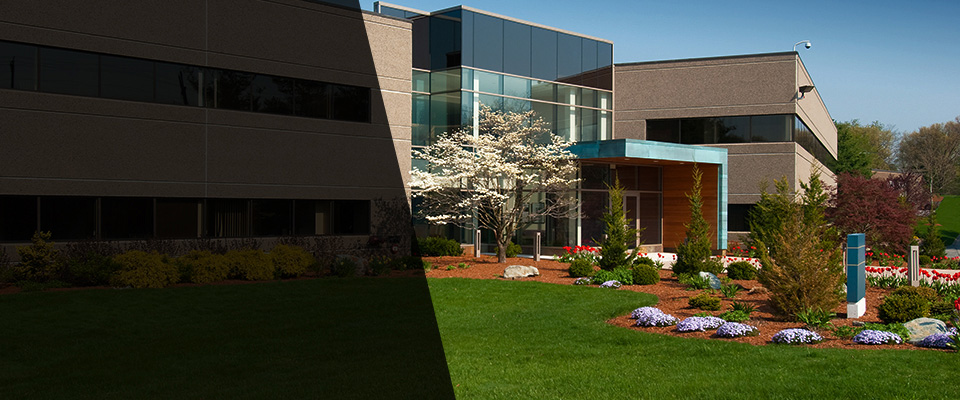 Kathleen Landscapers