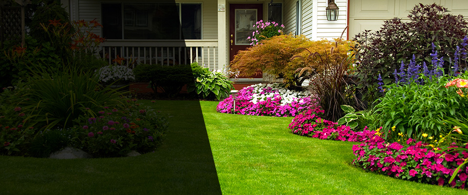 Kathleen Landscapers